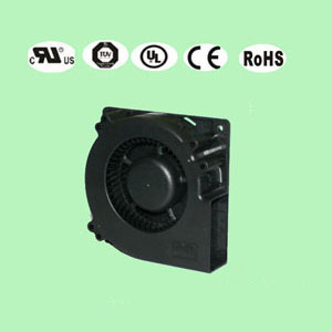 P站视频APP最新免费版12032