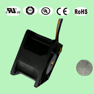 6038P站视频APP最新免费版